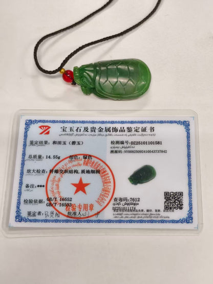 Dragon Turtle Pendant, 14.55g Green Nephrite Jade, Wisdom Longevity Talisman, Spiritual Protection Amulet